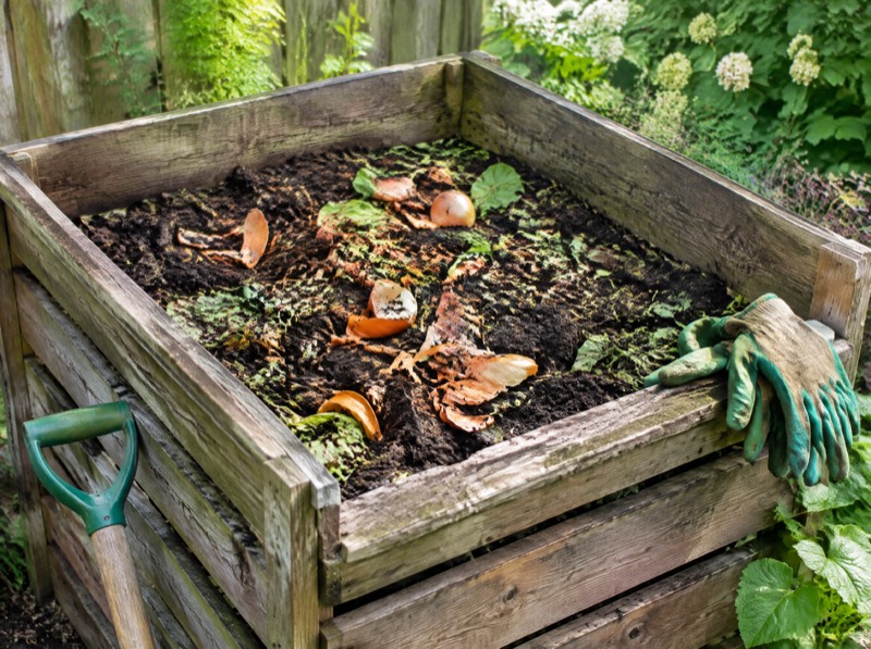 Composting 101: From Kitchen Scraps to Garden Gold